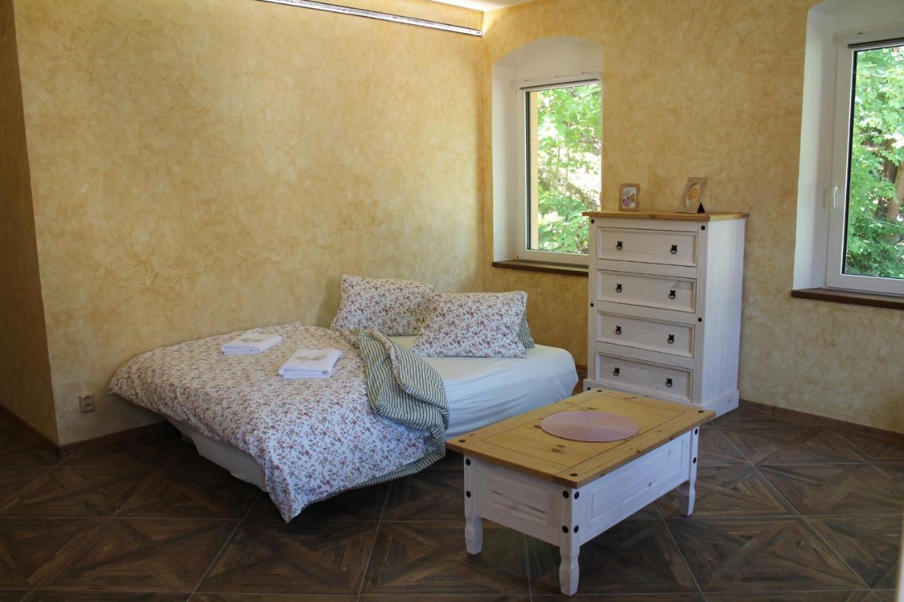 Hrad Vildstejn Hotel Skalná Buitenkant foto