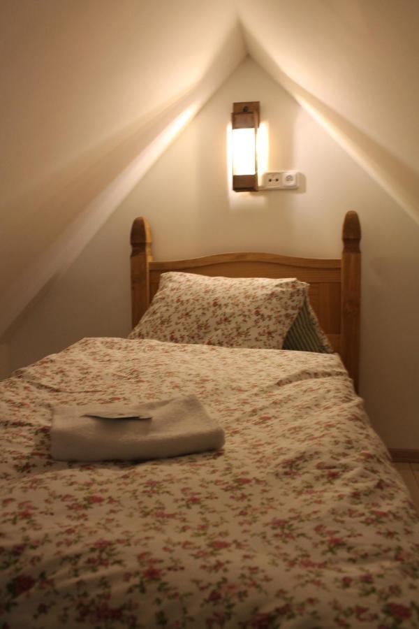 Hrad Vildstejn Hotel Skalná Buitenkant foto